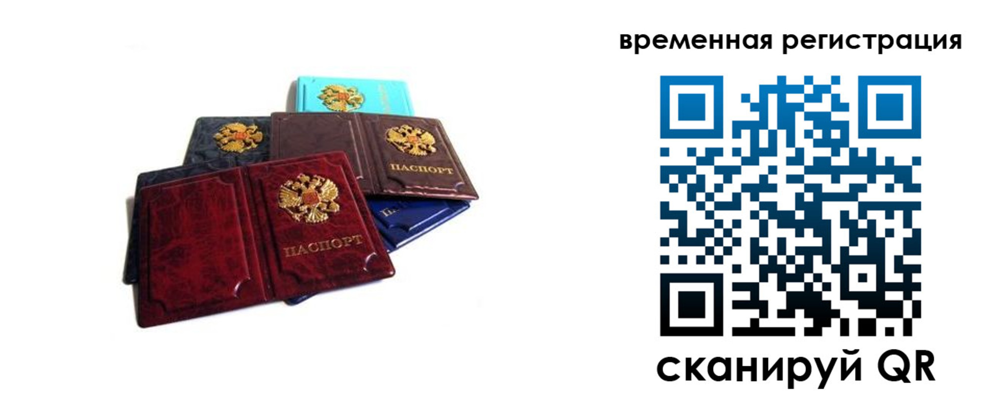 прописка гарантия в Далматово